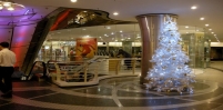 çam ağacı led ışık süsleme