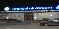 mağaza ışık süslemesi 4